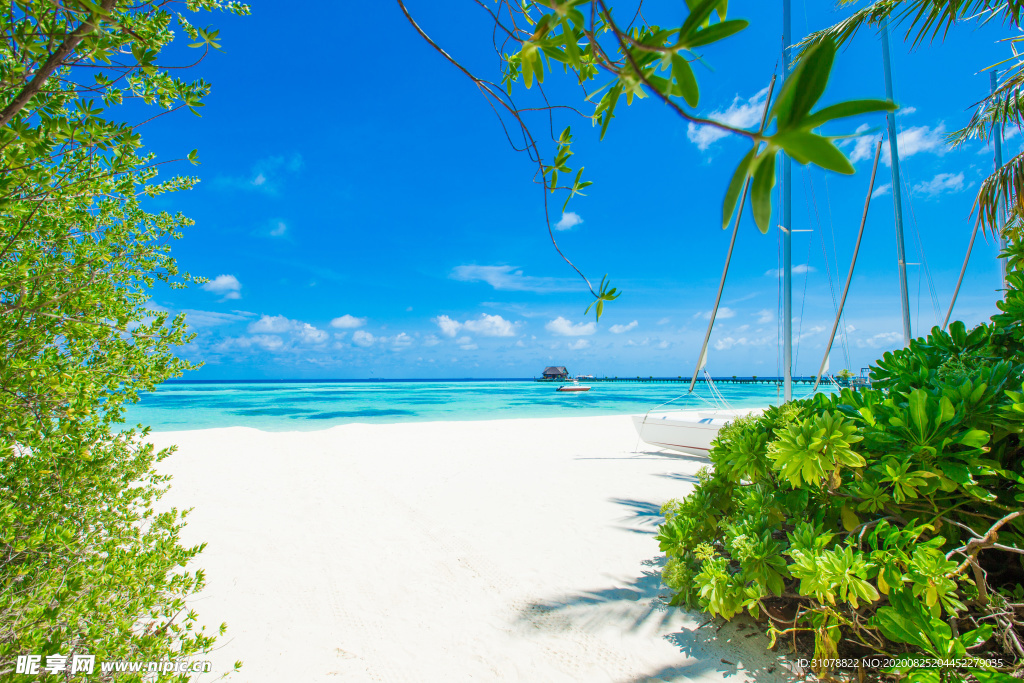 海岸风景摄影图