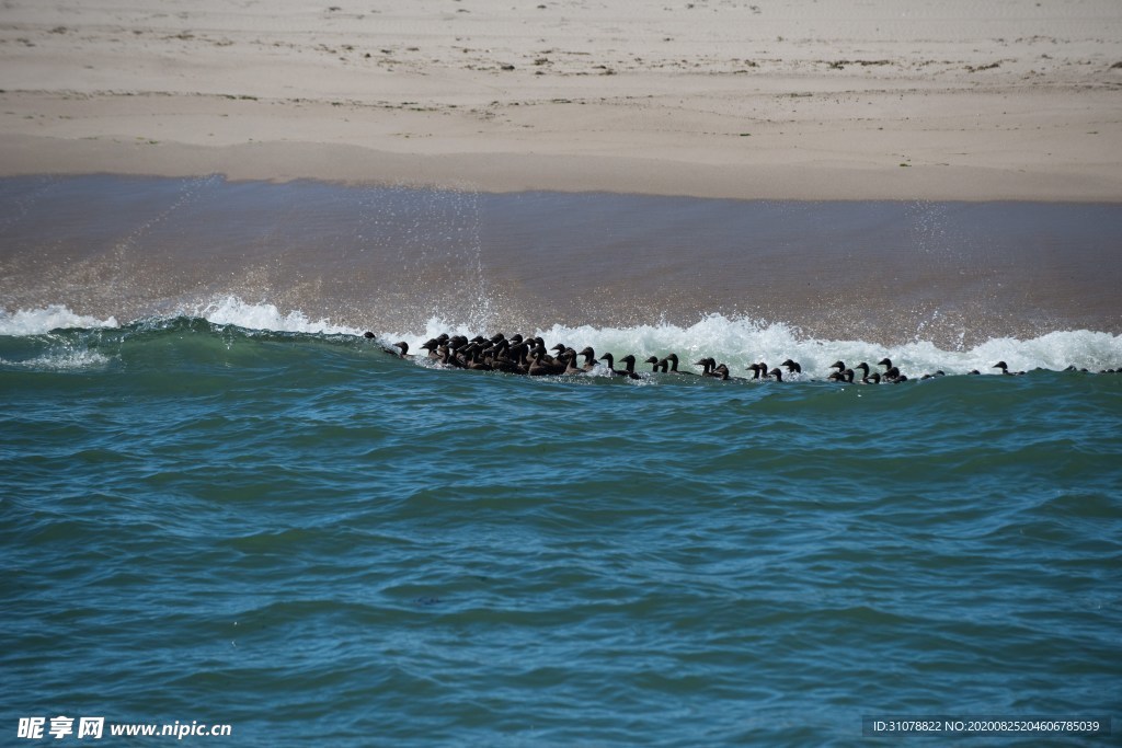 海岸风景摄影图