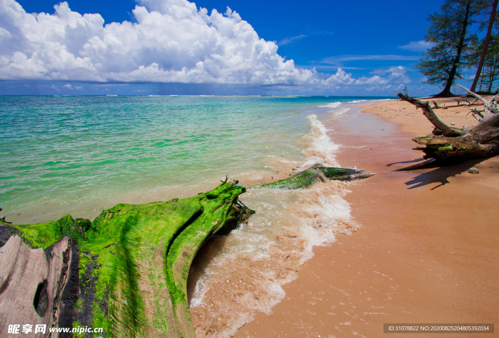 海岸风景摄影图
