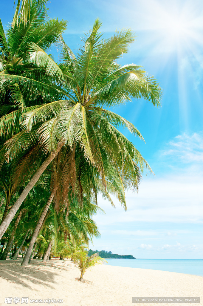 海岸风景摄影图