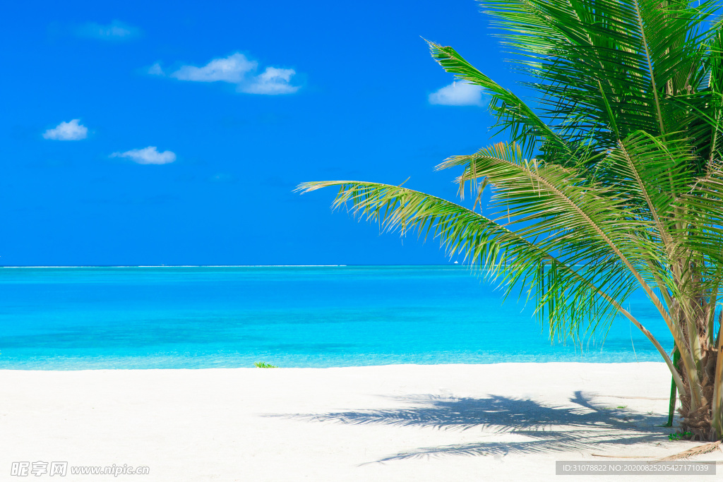 海岸风景摄影图