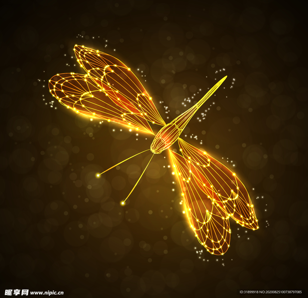 矢量动物 矢量植物 插画 手绘