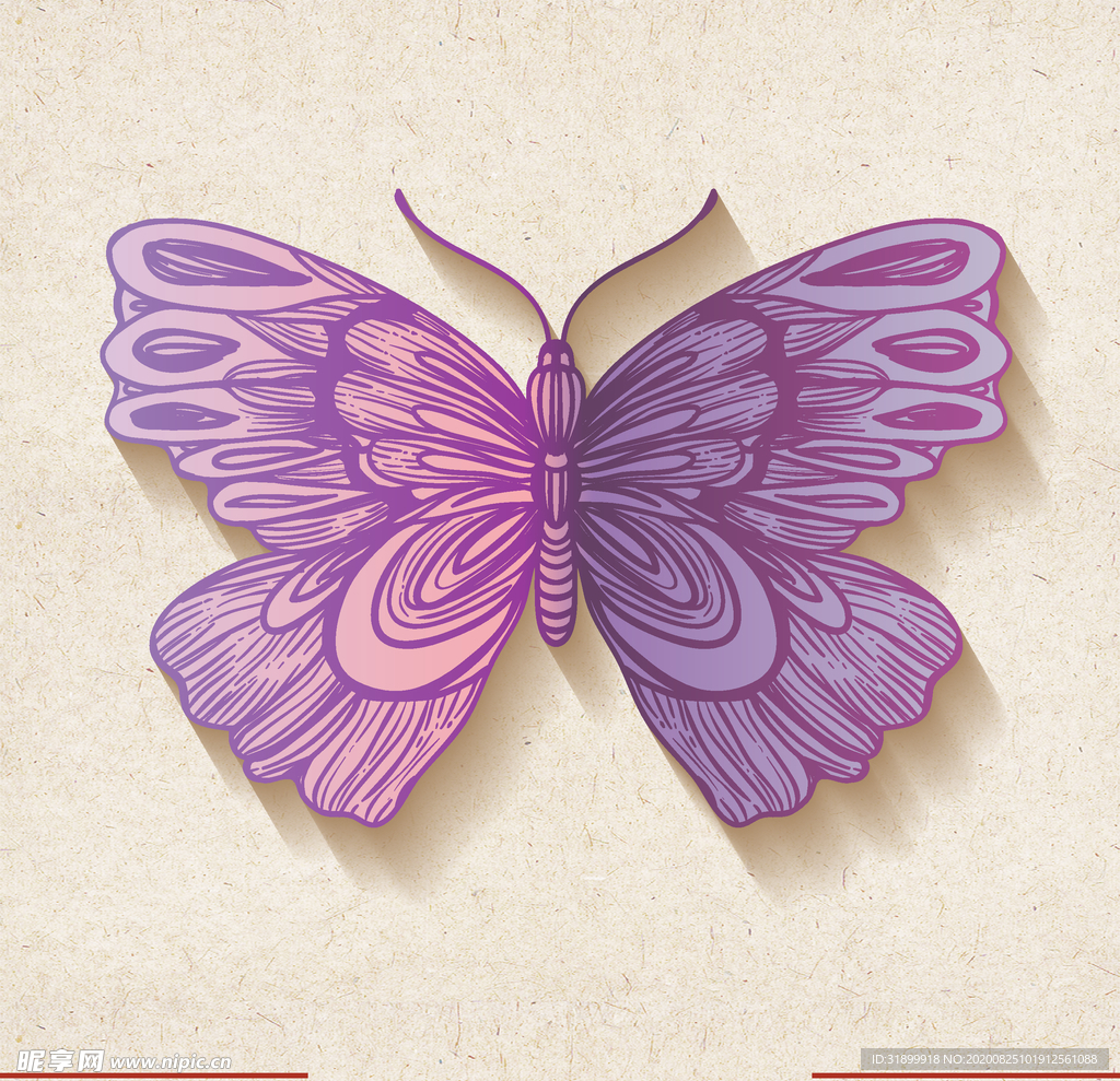 矢量动物 矢量植物 插画 手绘