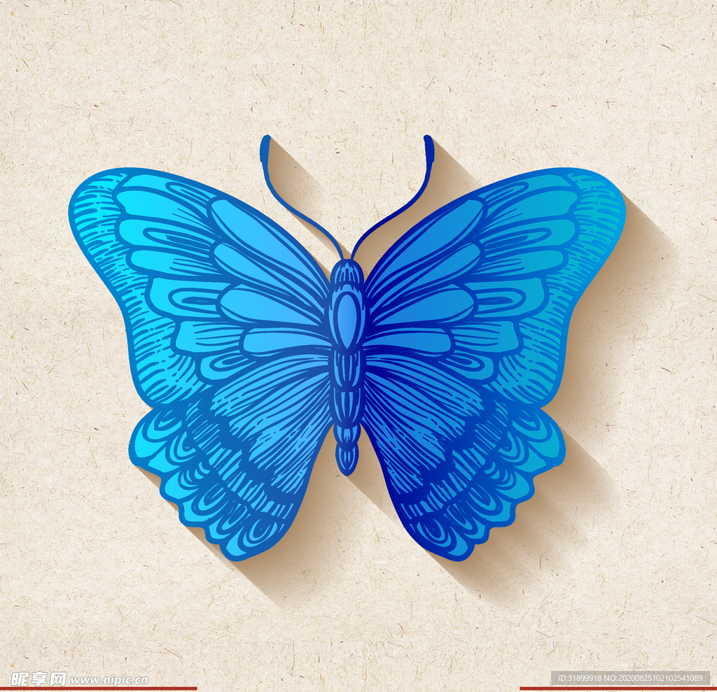 矢量动物 矢量植物 插画 手绘