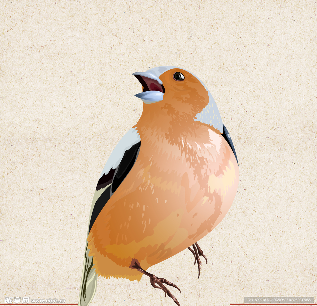 矢量动物 矢量植物 插画 手绘