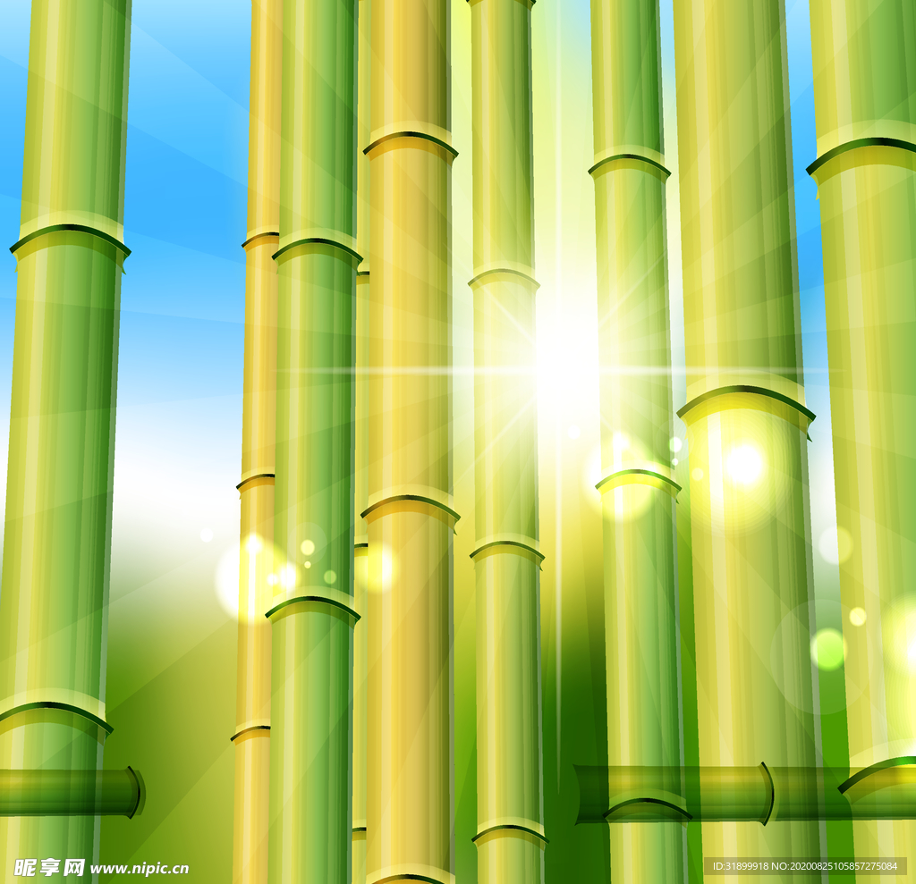 矢量动物 矢量植物 插画 手绘