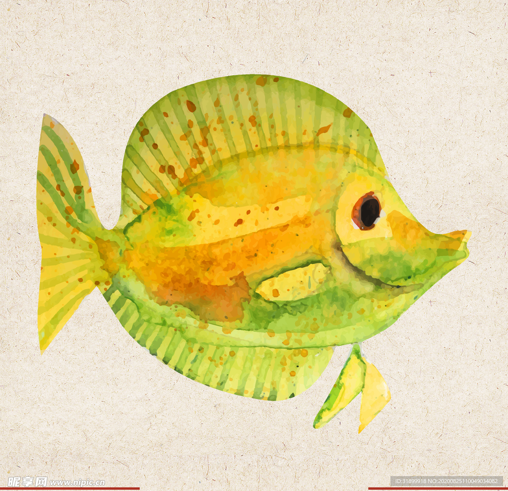 矢量动物 矢量植物 插画 手绘