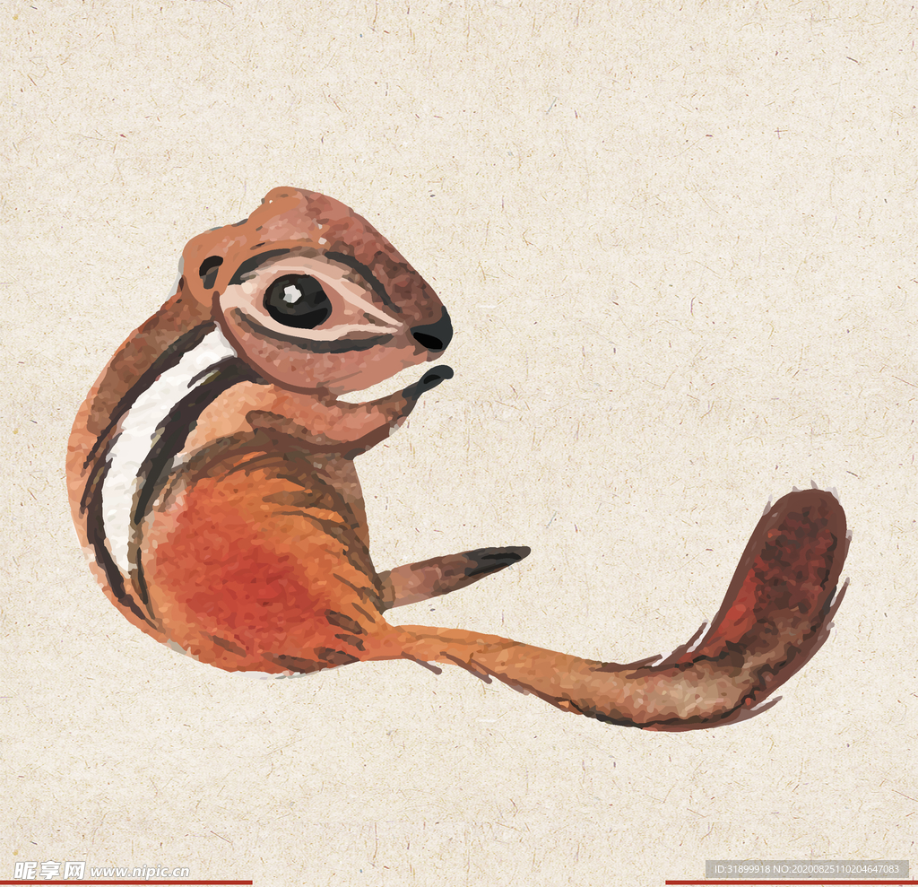 矢量动物 矢量植物 插画 手绘