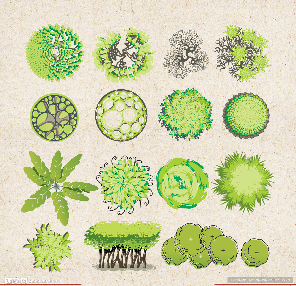 矢量动物 矢量植物 插画 手绘