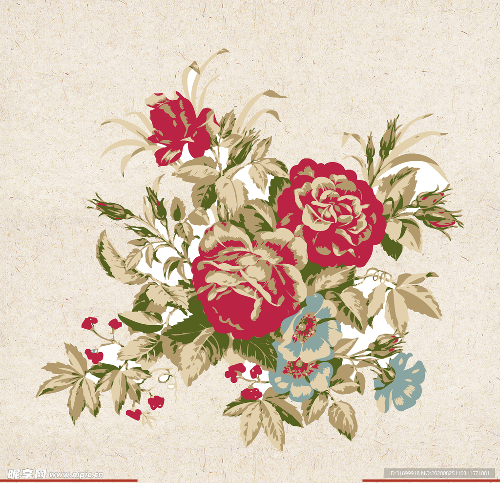 矢量动物 矢量植物 插画 手绘