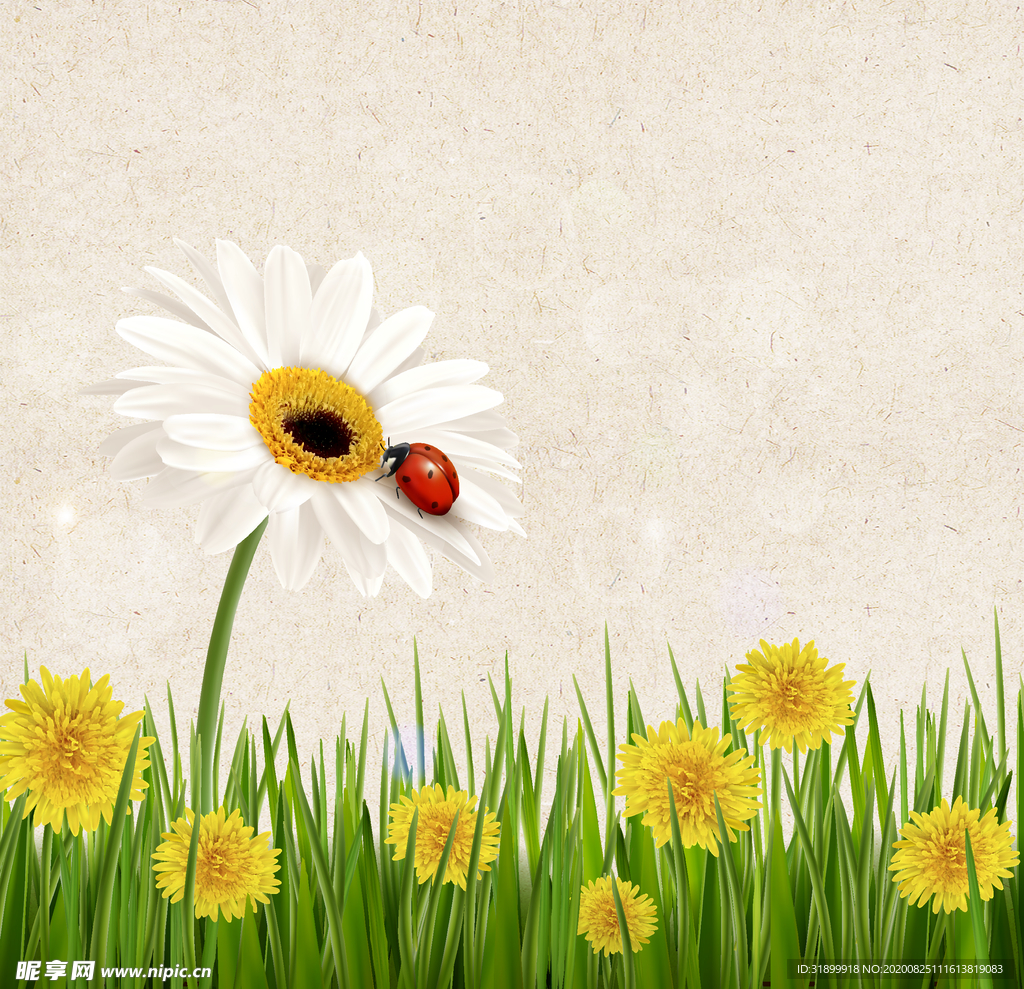 矢量动物 矢量植物 插画 手绘