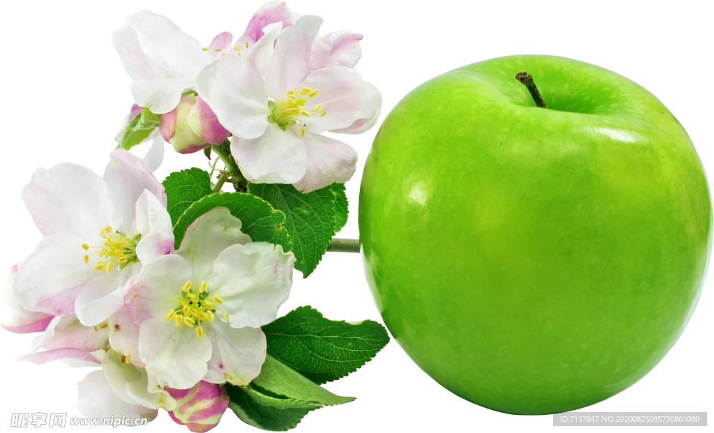 苹果图片