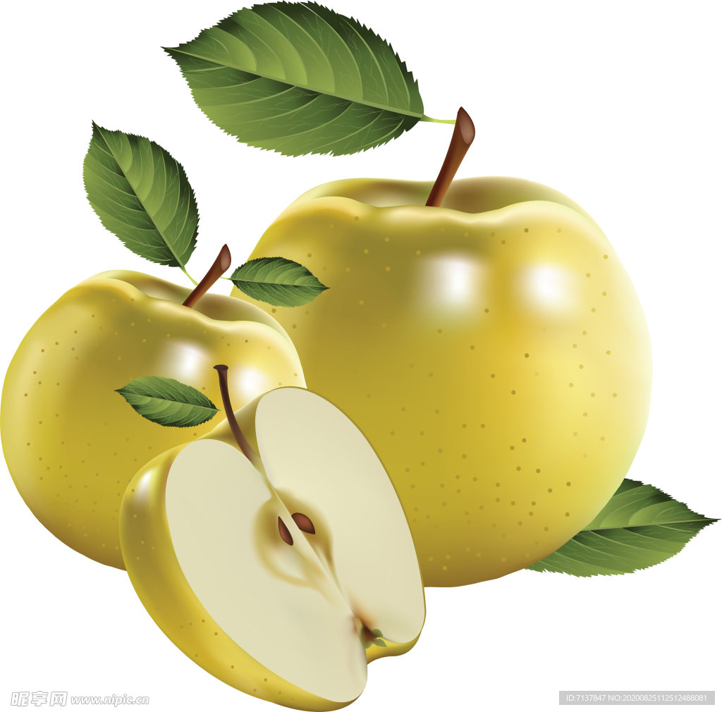 苹果图片