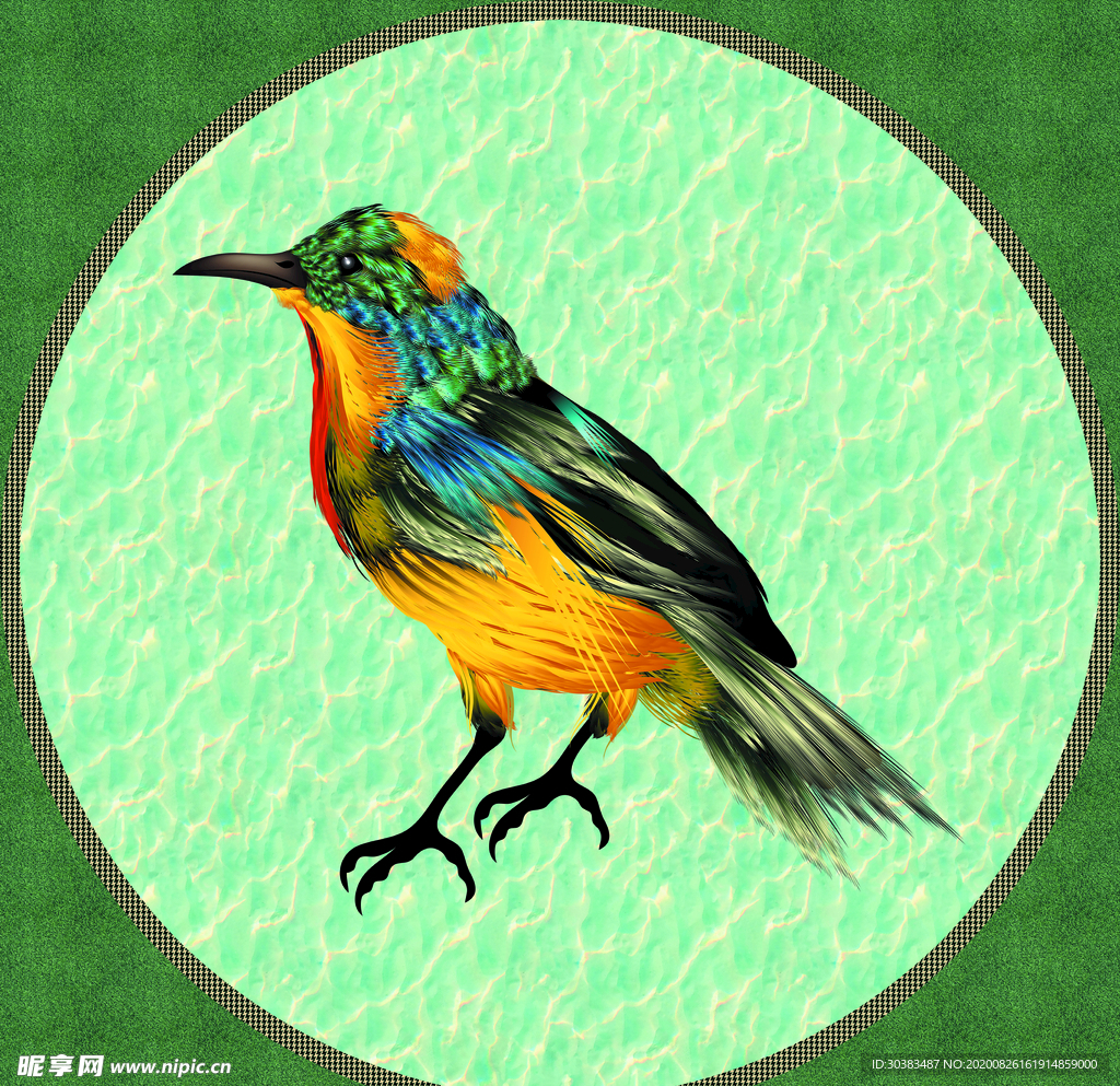 好看的高清 方巾 鸟 雀