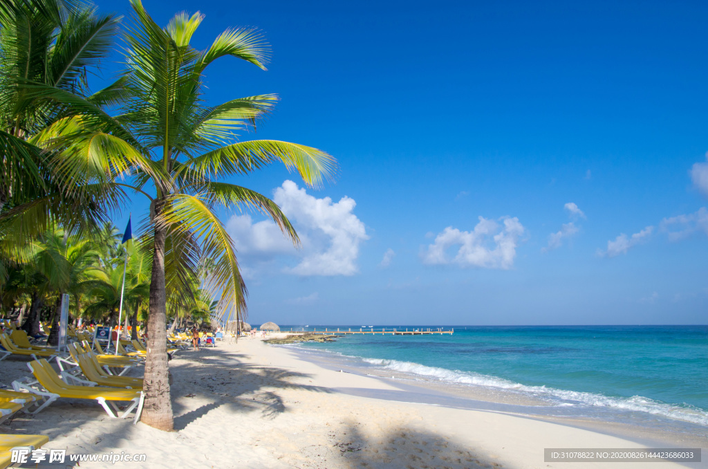 海岸风景摄影图