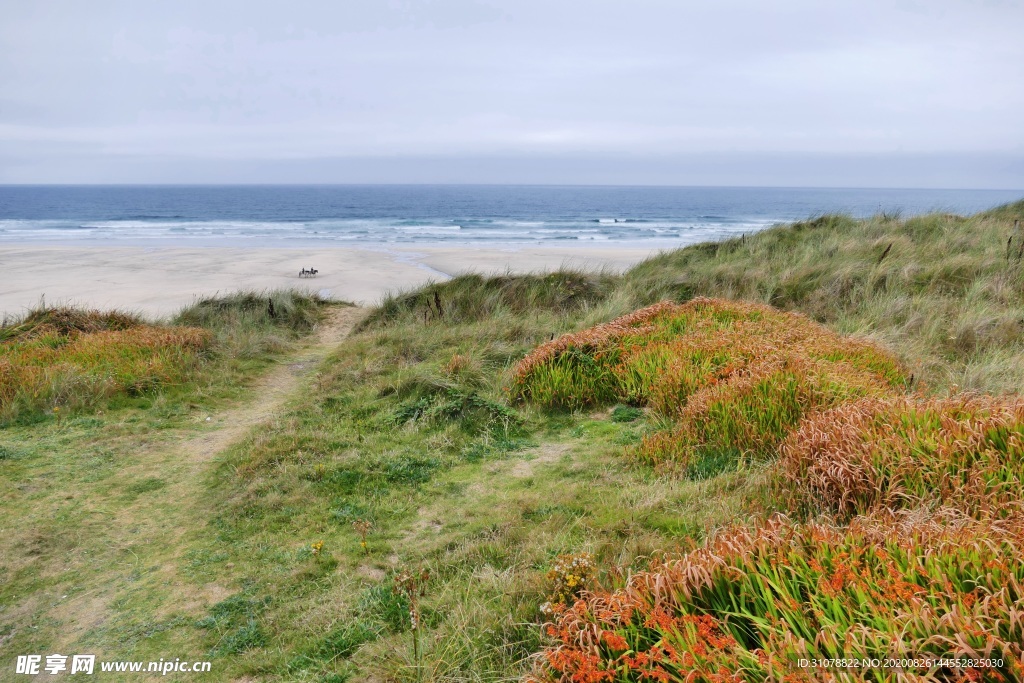 海岸风景摄影图