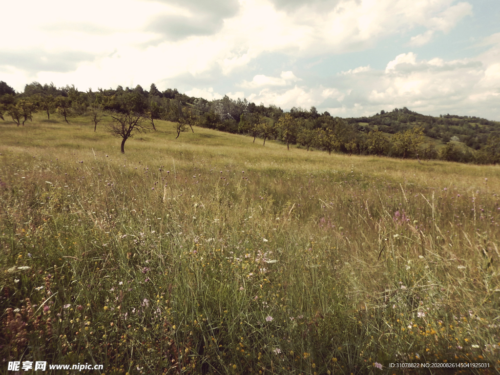 海岸风景摄影图