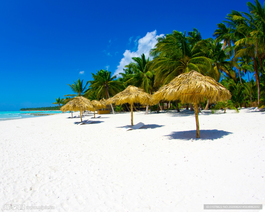 海岸风景摄影图