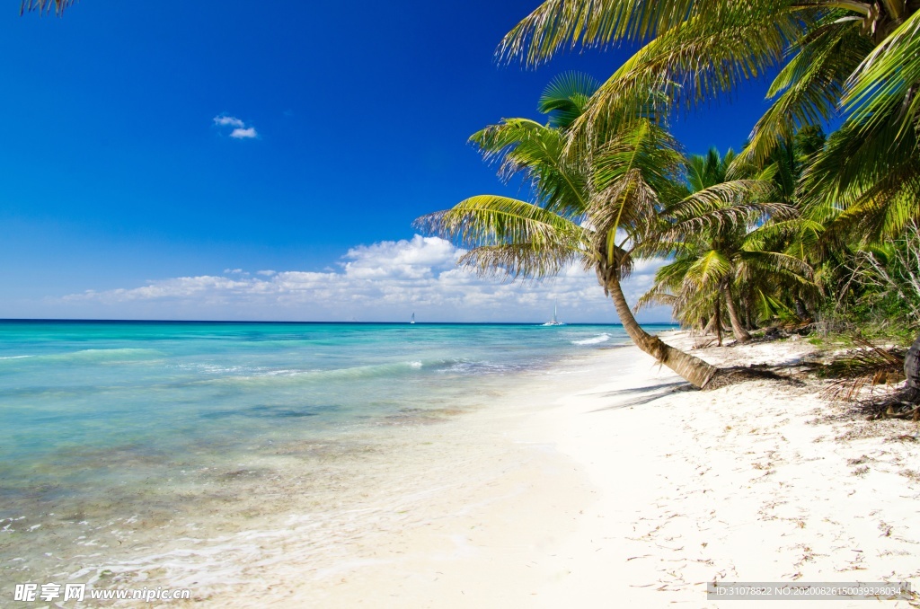 海岸风景摄影图