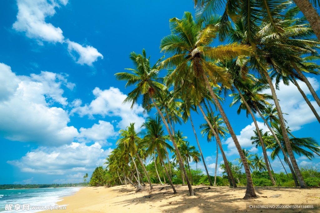 海岸风景摄影图