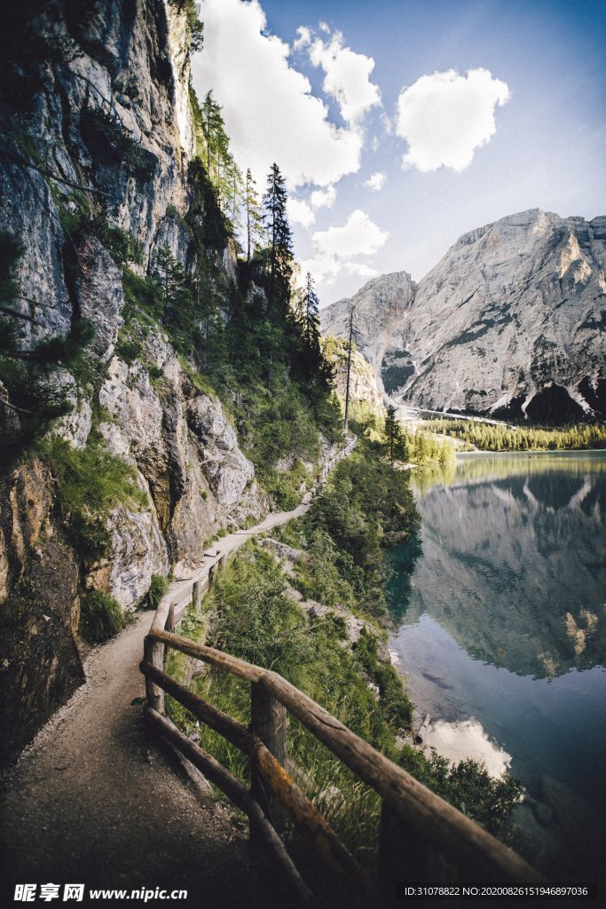 中式古典花鸟工笔画