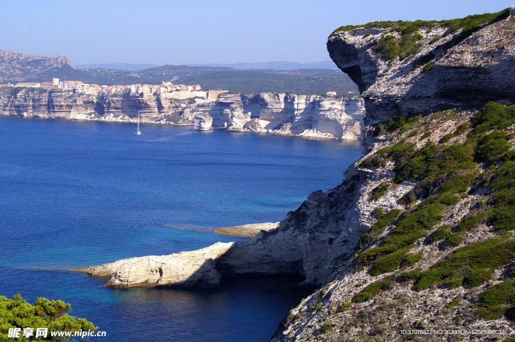 中式古典花鸟工笔画