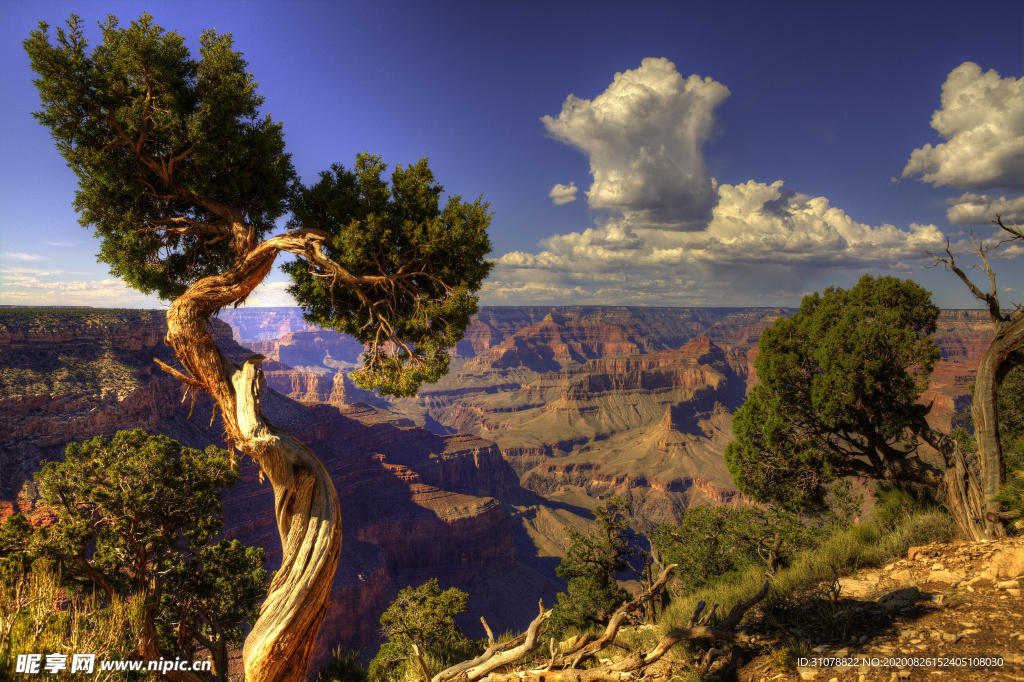 海岸风景摄影图