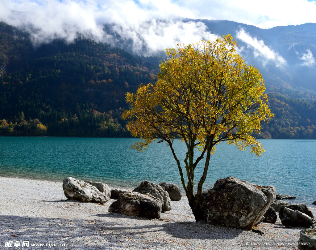 海岸风景摄影图