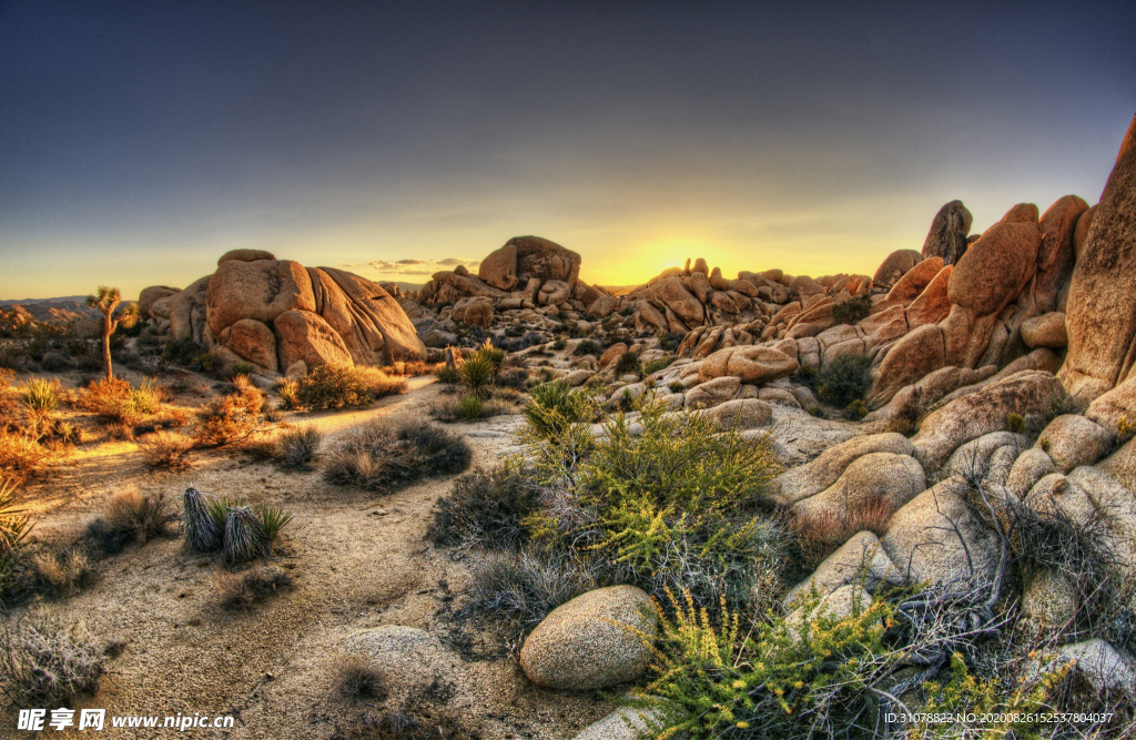 海岸风景摄影图