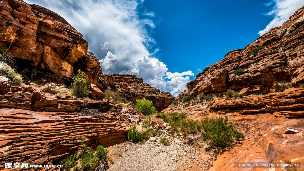 海岸风景摄影图