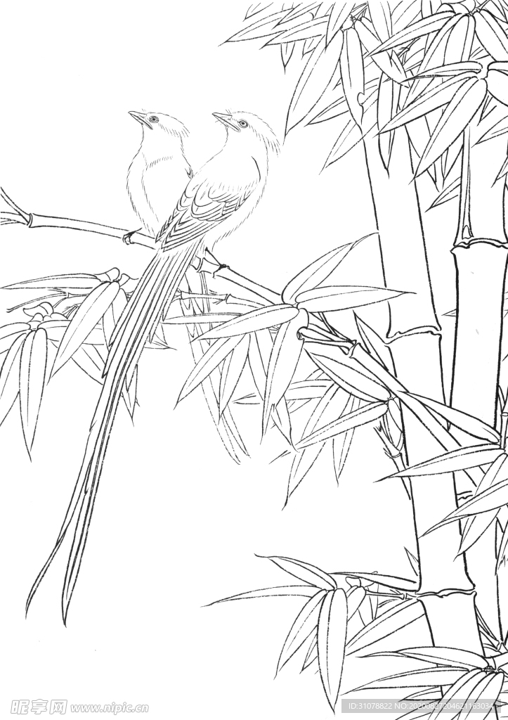 中式古典花鸟工笔画