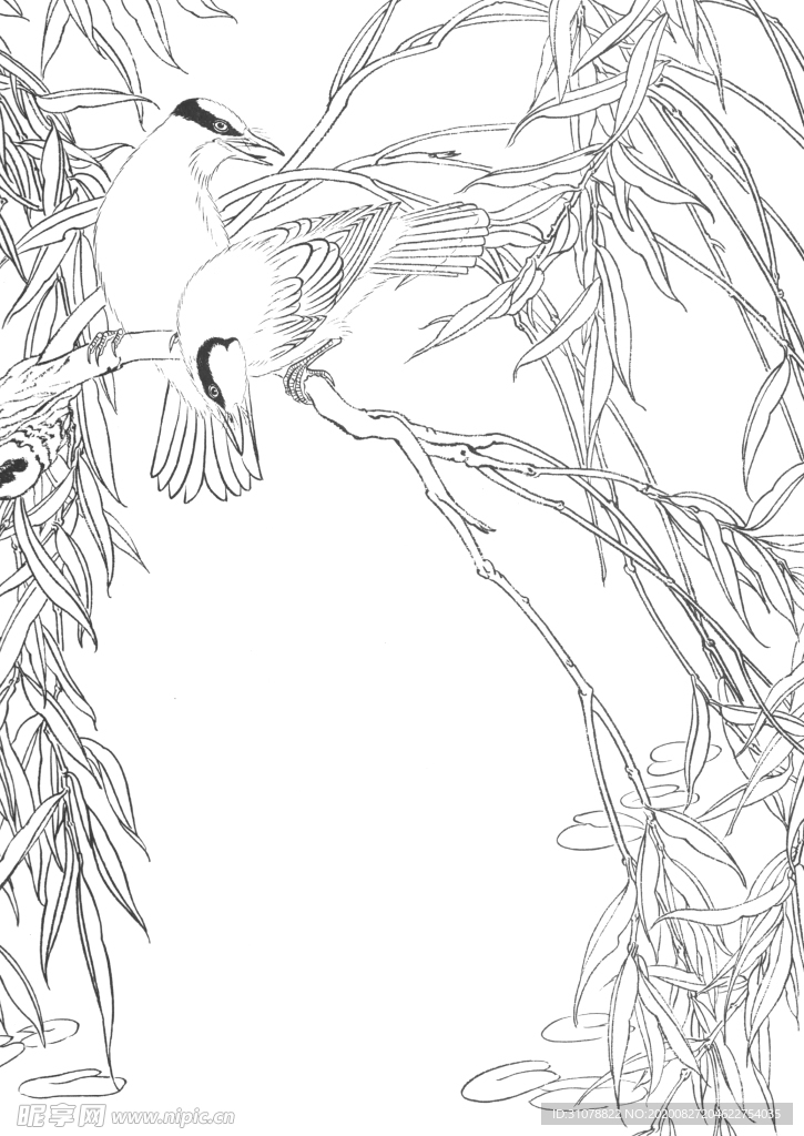 中式古典花鸟工笔画