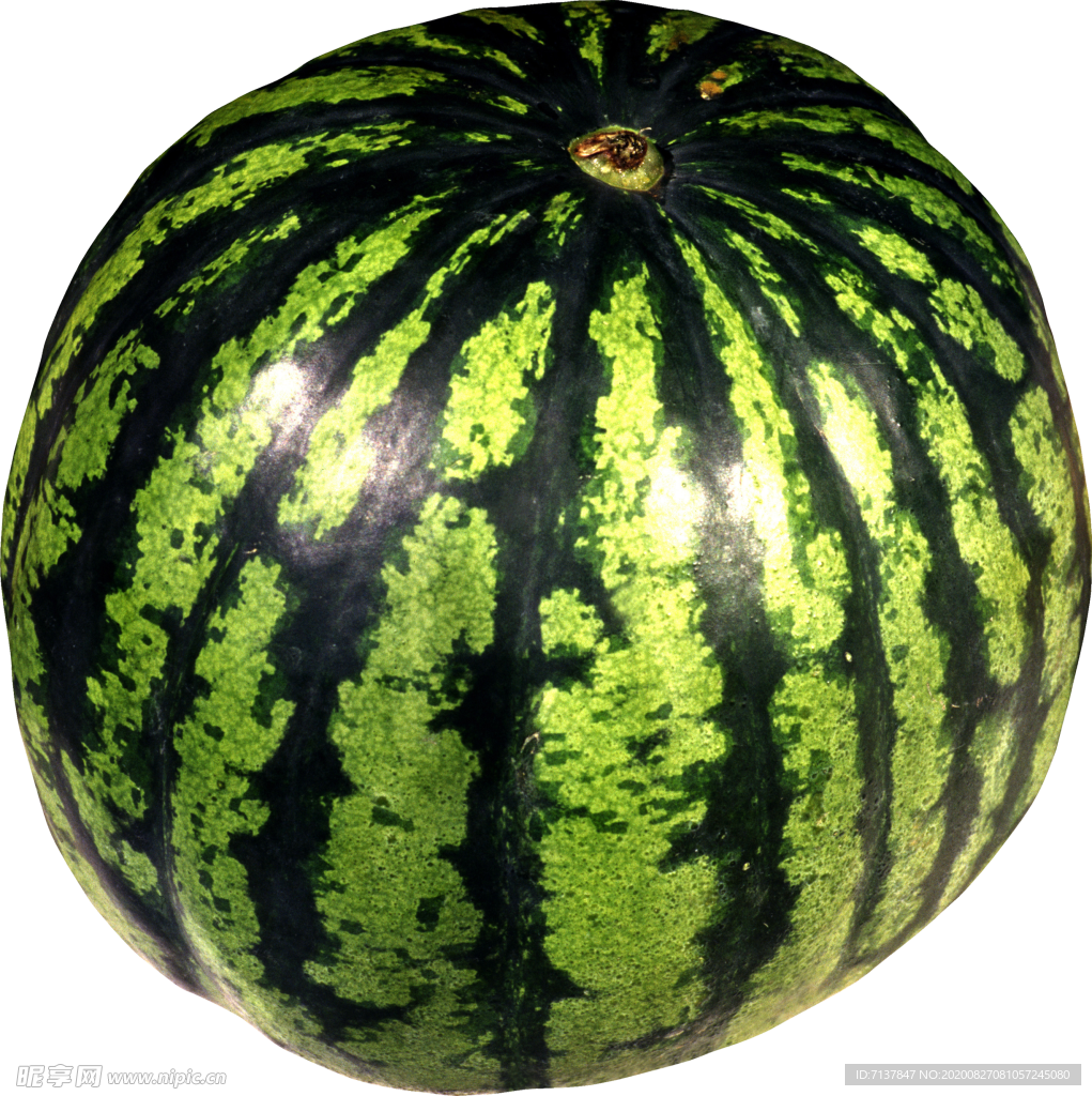 西瓜元素图片