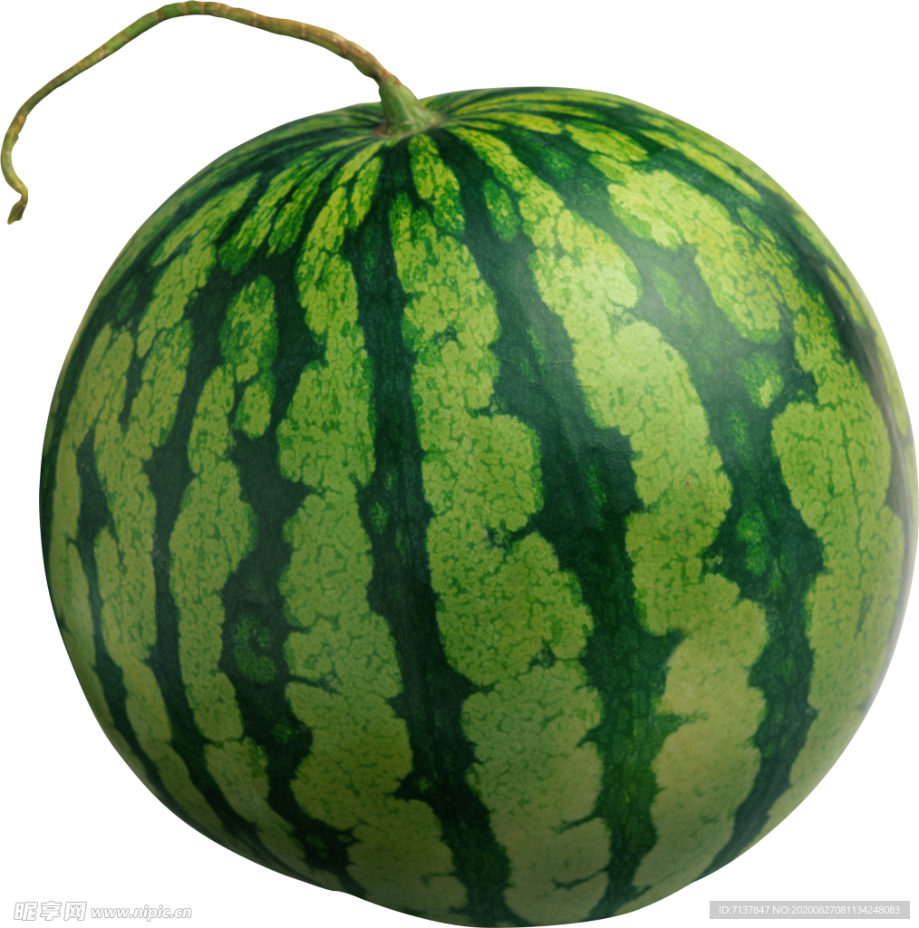 西瓜元素图片