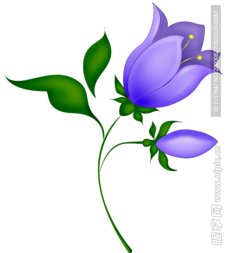 免扣风铃草元素图片