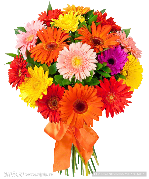 免扣花束图片
