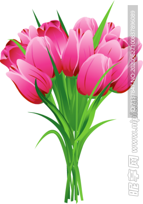 免扣花束图片