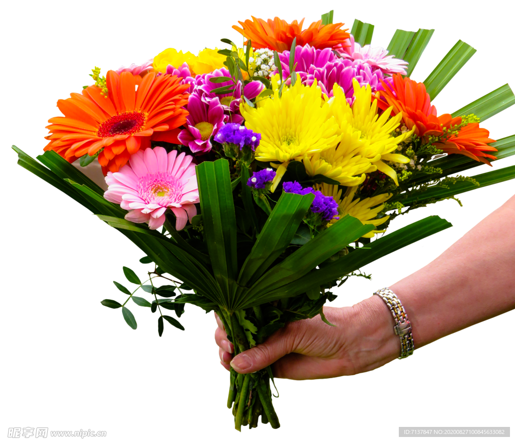 免扣花束图片