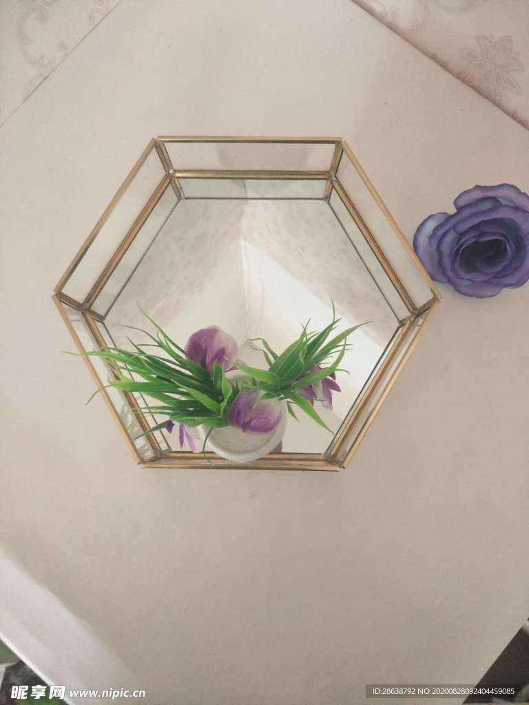 几何多边形玻璃花房摆件实拍图