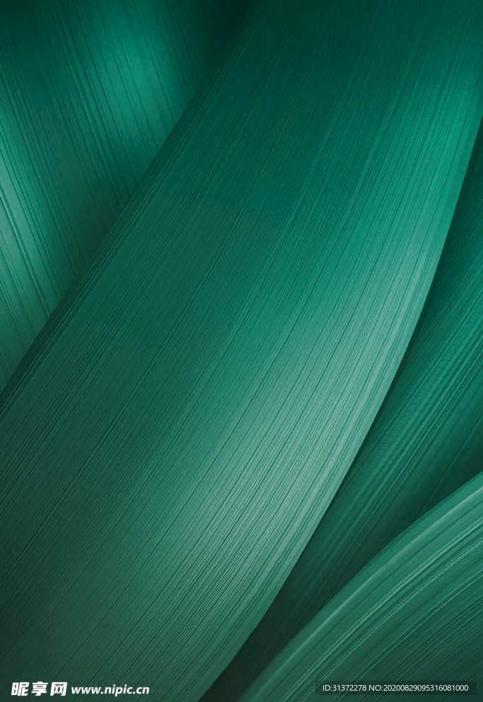 端午节粽子素材图片