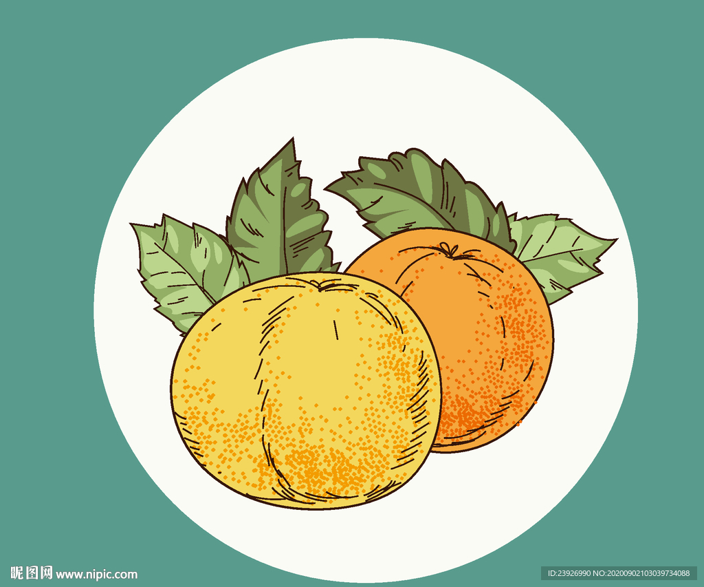 手绘橙子