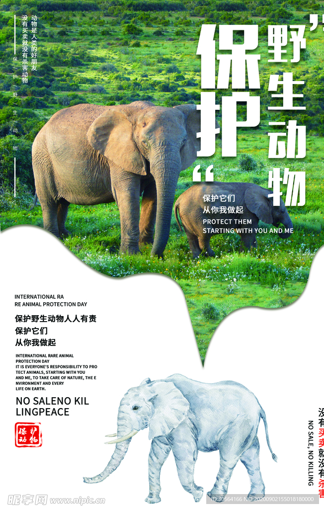 保护动物社会公益活动海报素材