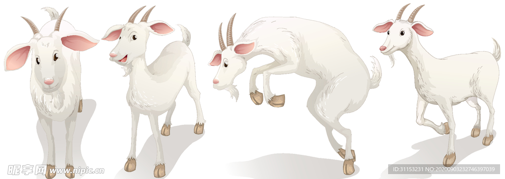 卡通羊