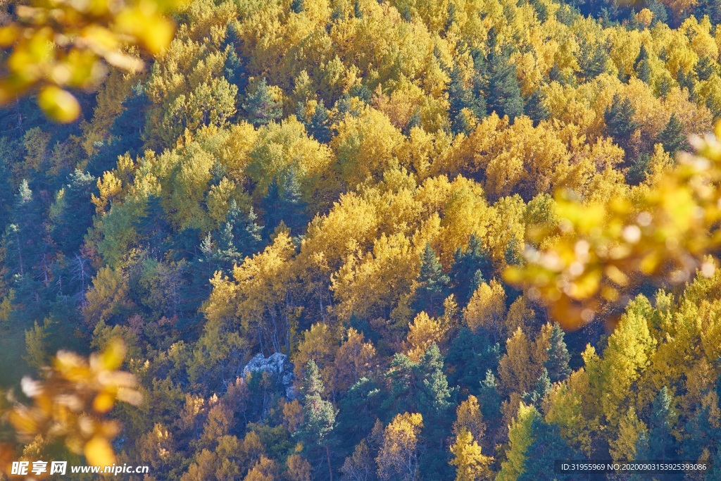 秋 季节 景观 性质