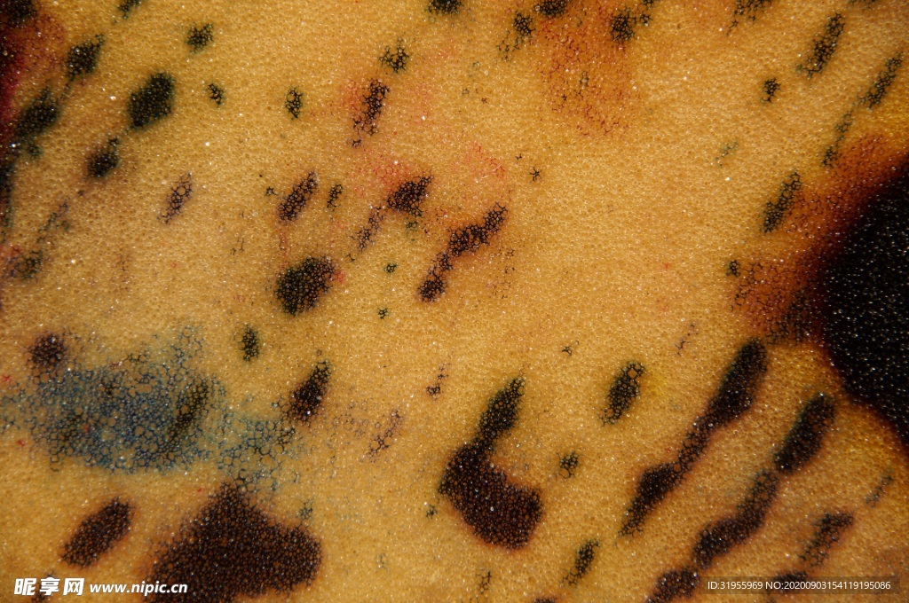 结构 纹理 背景