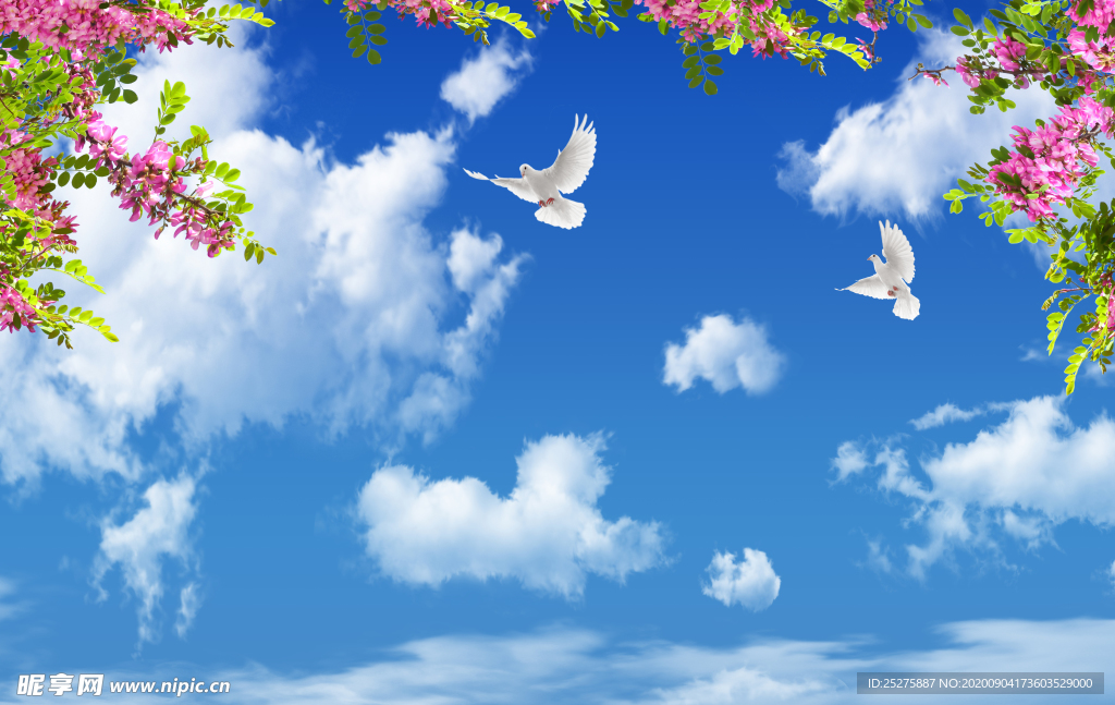 蓝天白云绿叶鸽子大图