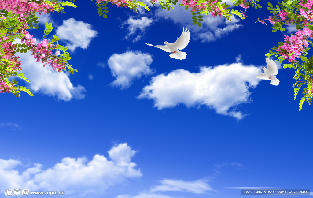 蓝天白云鸽子大图