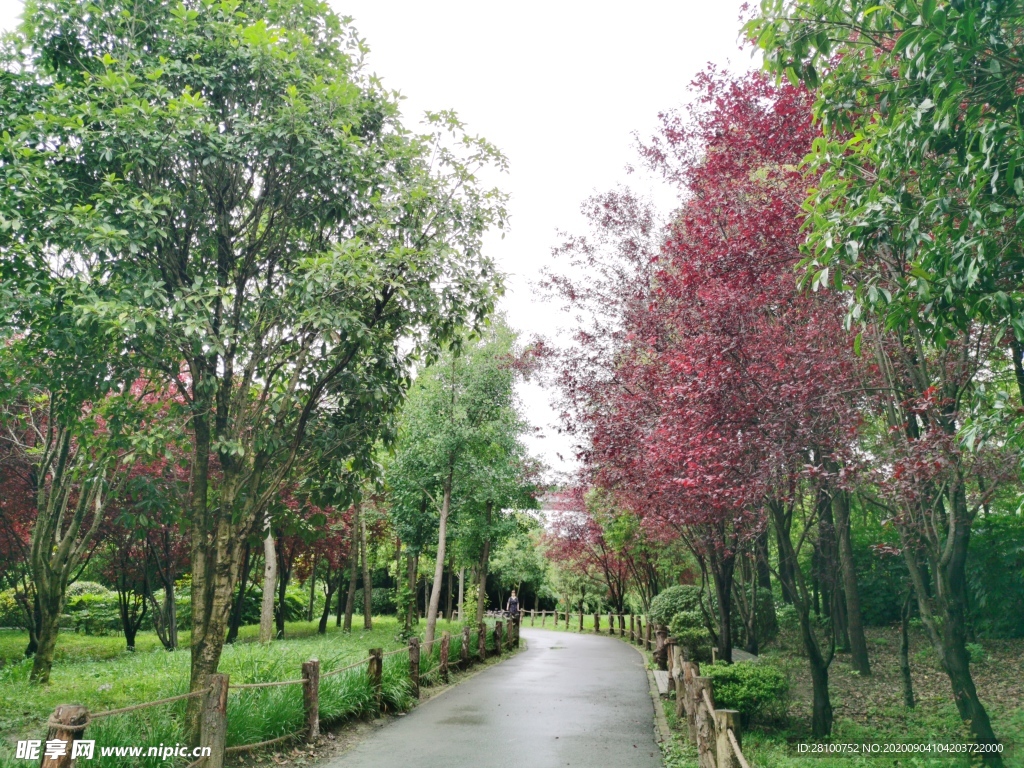 公园小路