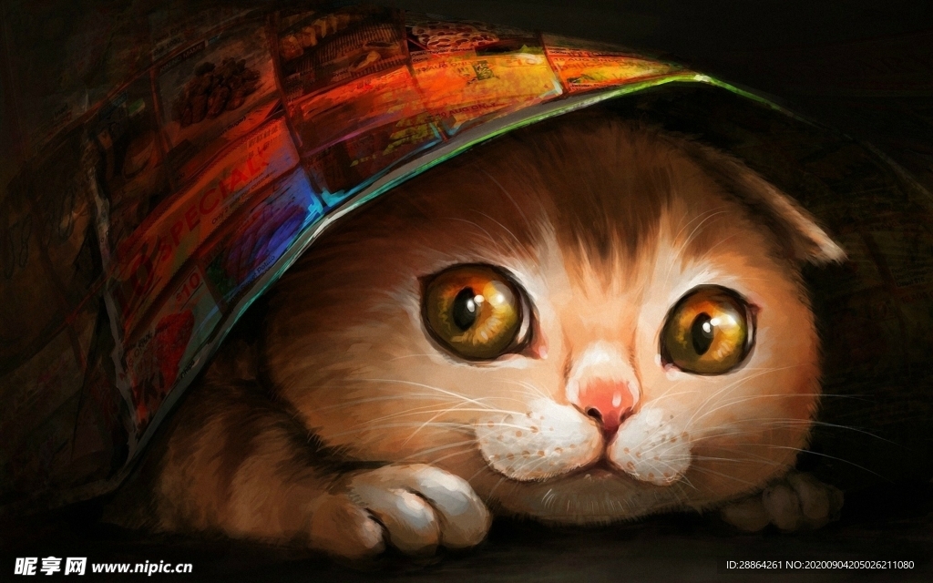 动物 宠物 狗 猫 生物世界