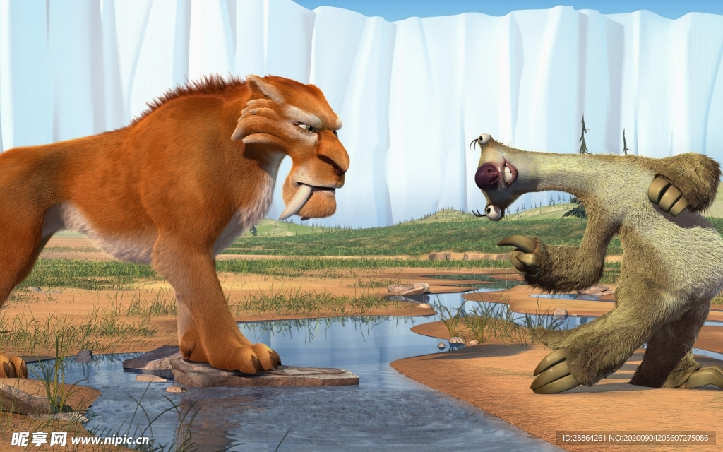 动物 宠物 狗 猫 生物世界